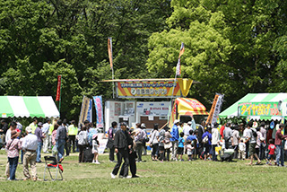 展示物